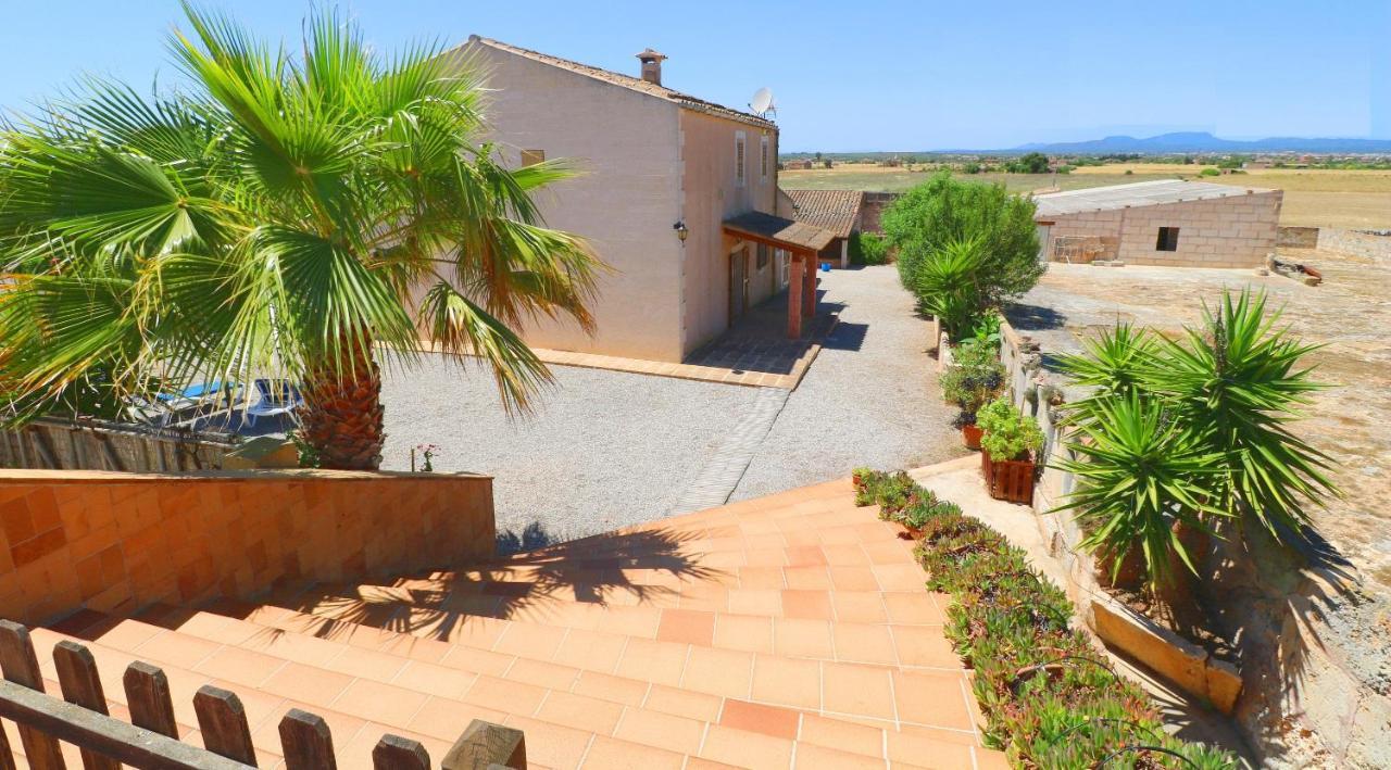 Alcoraia Villa Campos  Buitenkant foto